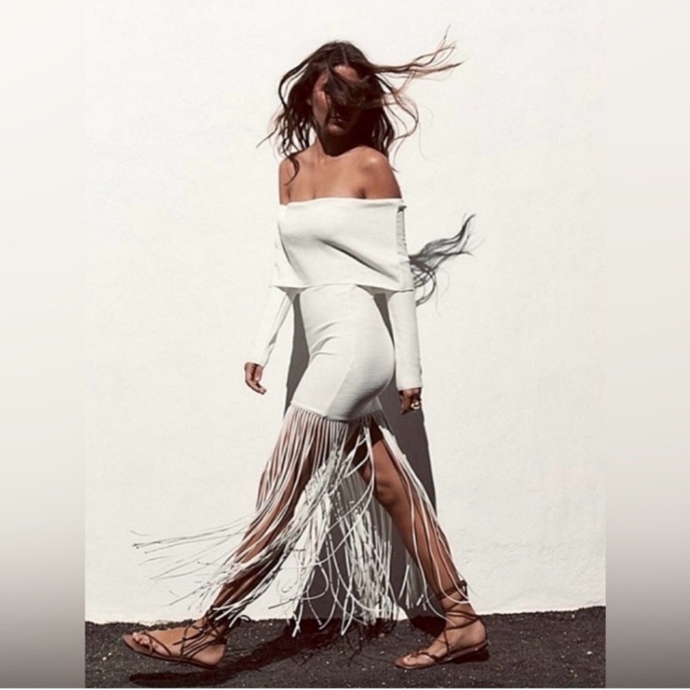 Zara Fringe Dress
